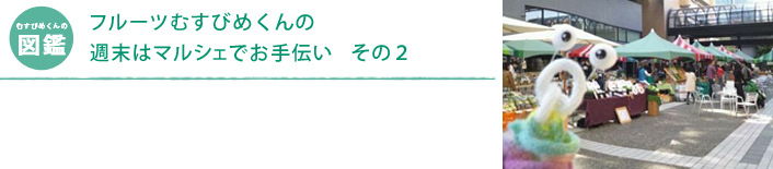 フルーツむすびめくんの　週末はマルシェでお手伝い　その2