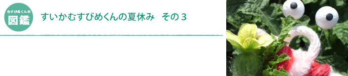 すいかむすびめくんの一日　その3